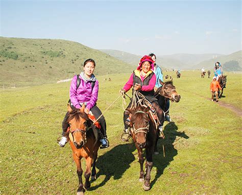 南昌到靖安的旅途探秘：穿越大地的韵律之旅（繁體）